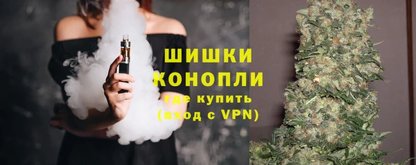 мет Ладушкин