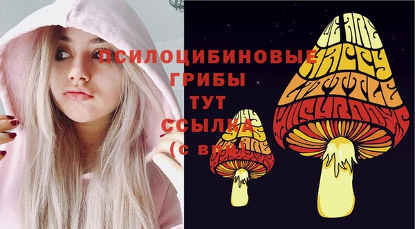 мет Ладушкин