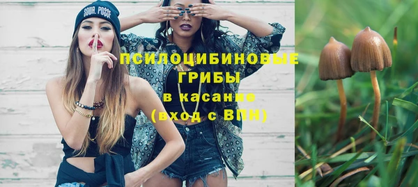 мет Ладушкин