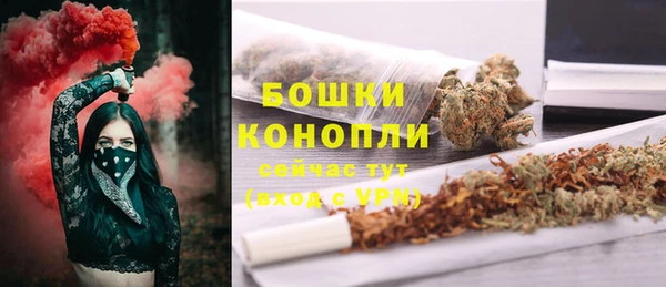 мет Ладушкин